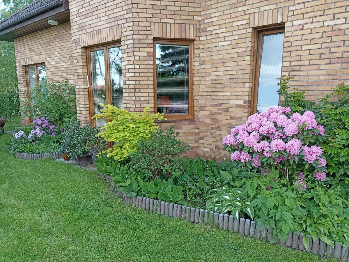 Dom Turysty Na Skarpie Appartement Malbork Buitenkant foto
