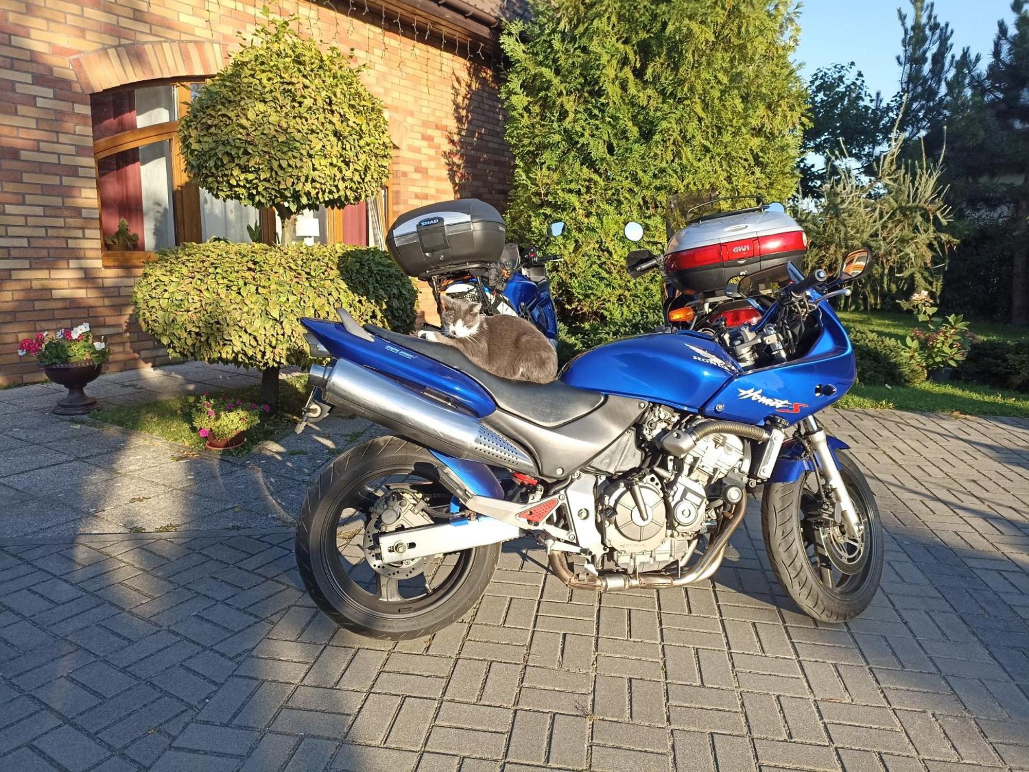 Dom Turysty Na Skarpie Appartement Malbork Buitenkant foto