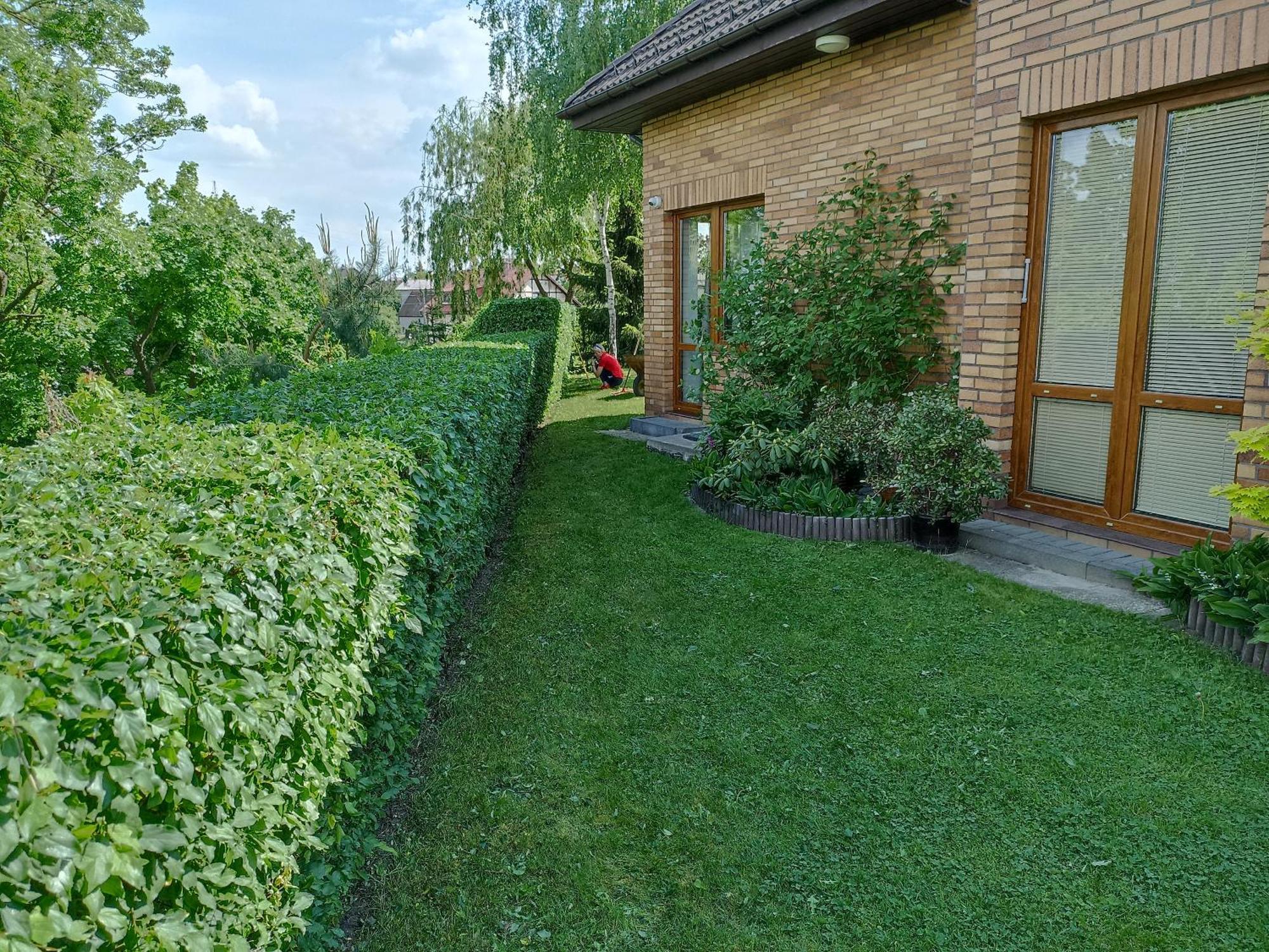 Dom Turysty Na Skarpie Appartement Malbork Buitenkant foto