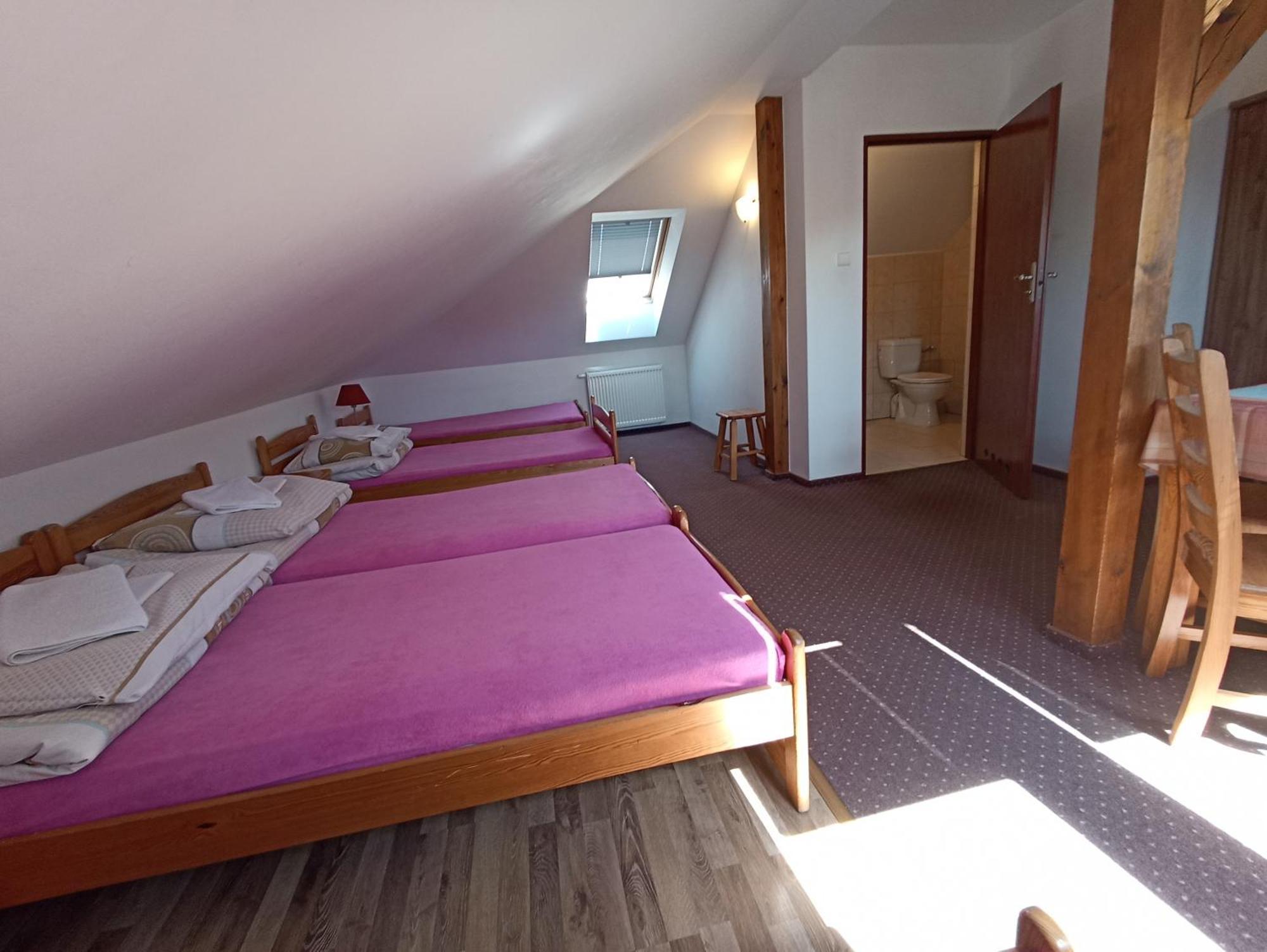 Dom Turysty Na Skarpie Appartement Malbork Buitenkant foto